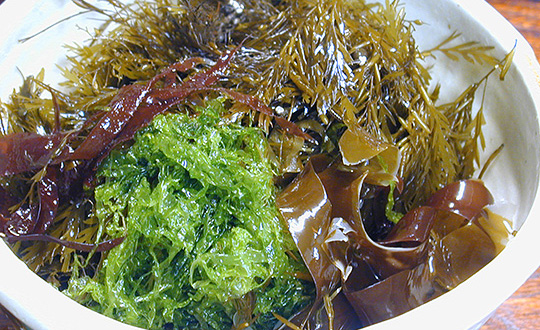 海藻料理｜北陸の郷土食 | 自然人ネット
